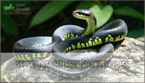 selecting the best snake species