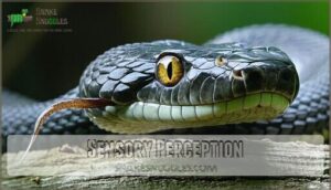 sensory perception
