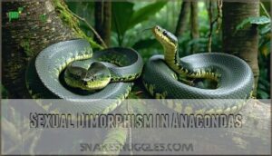 sexual dimorphism in anacondas