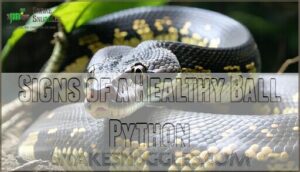 signs of a healthy ball python