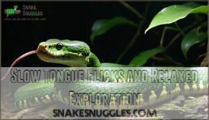 slow tongue flicks and relaxed exploration