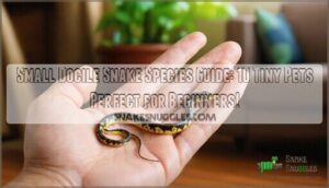 small docile snake species guide