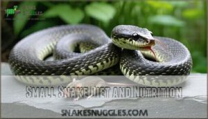 small snake diet and nutrition