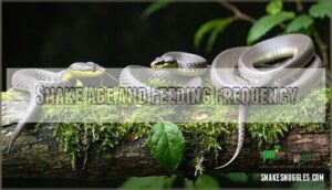snake age and feeding frequency