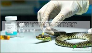 snake antibiotic treatment