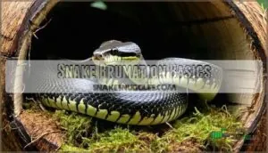 snake brumation basics snake brumation basics