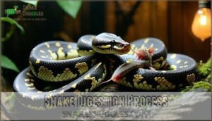 snake digestion process