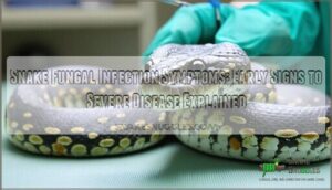 snake fungal infection symptoms