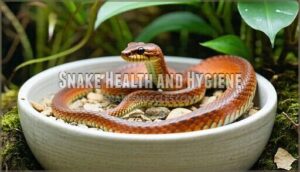 snake health and hygiene