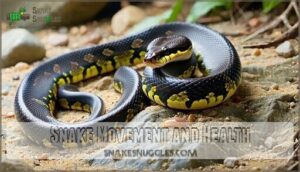 snake movement and health