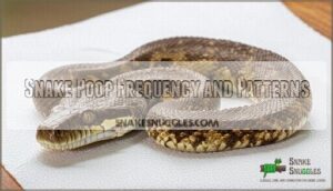 snake poop frequency and patterns