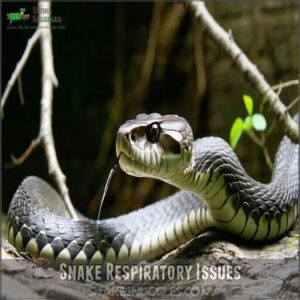 snake respiratory issues