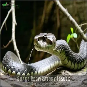 snake respiratory issues snake respiratory issues