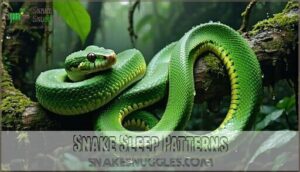 snake sleep patterns