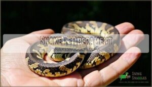 snake temperament