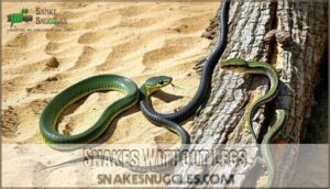snakes without legs