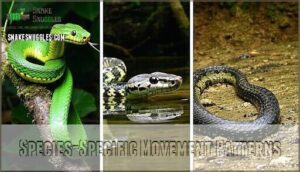 species-specific movement patterns