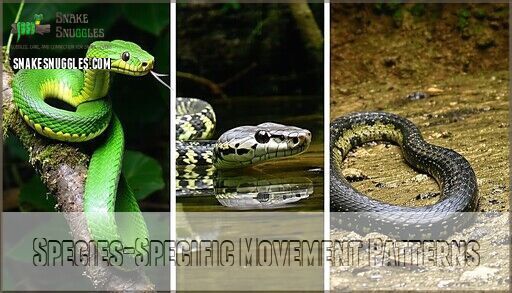 Understanding Snake Body Language: Decode Your Pet's Secret Signals