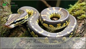 stuck skin on the tail