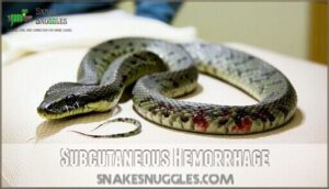 subcutaneous hemorrhage