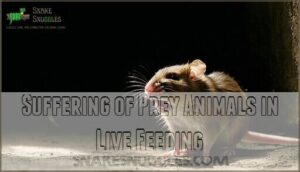 suffering of prey animals in live feeding
