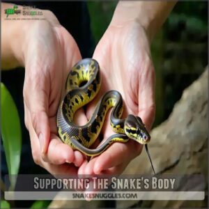 supporting the snake