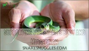 supporting the snake's body and midsection