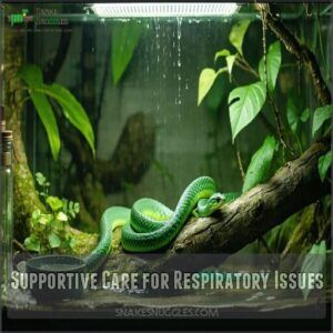 supportive care for respiratory issues