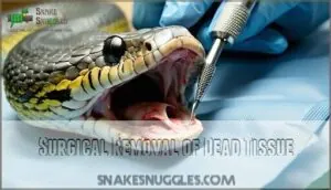 surgical removal of dead tissue surgical removal of dead tissue