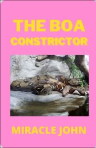 THE BOA CONSTRICTOR B0BBJRJDLL