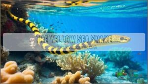 the yellow sea snake