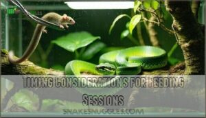 timing considerations for feeding sessions