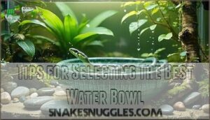tips for selecting the best water bowl
