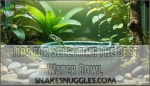 tips for selecting the best water bowl tips for selecting the best water bowl