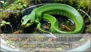 transmission of parasites: direct contact, contaminated food, and water