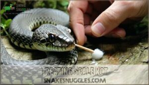 treating scale rot