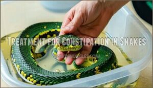 treatment for constipation in snakes