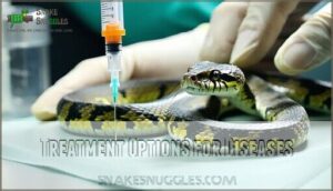 treatment options for diseases