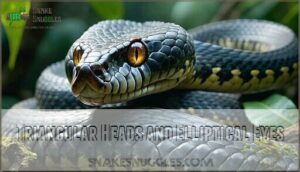 triangular heads and elliptical eyes