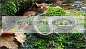 types of non-venomous snakes