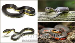 types of venomous snakes