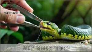 using feeding forceps using feeding forceps