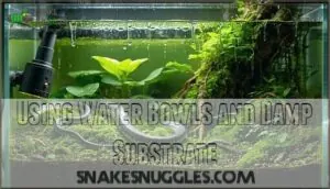 using water bowls and damp substrate using water bowls and damp substrate