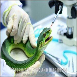 veterinary care and diagnosis