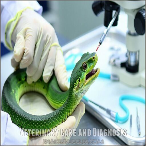 veterinary care and diagnosis