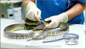 veterinary care and health issues