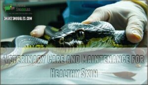 veterinary care and maintenance for healthy skin