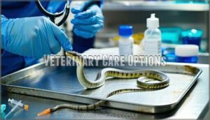 veterinary care options