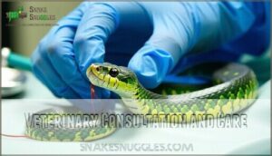 veterinary consultation and care
