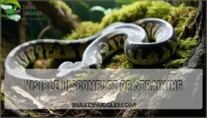 visible discomfort or straining visible discomfort or straining